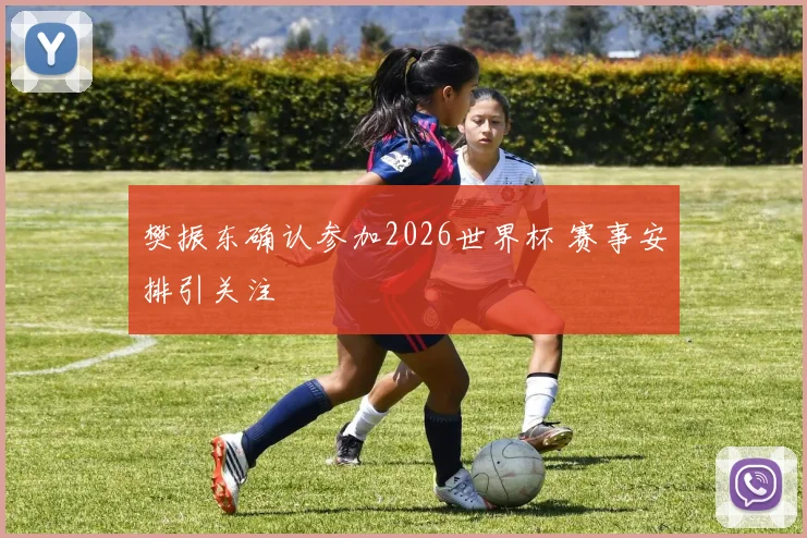 樊振东确认参加2026世界杯 赛事安排引关注