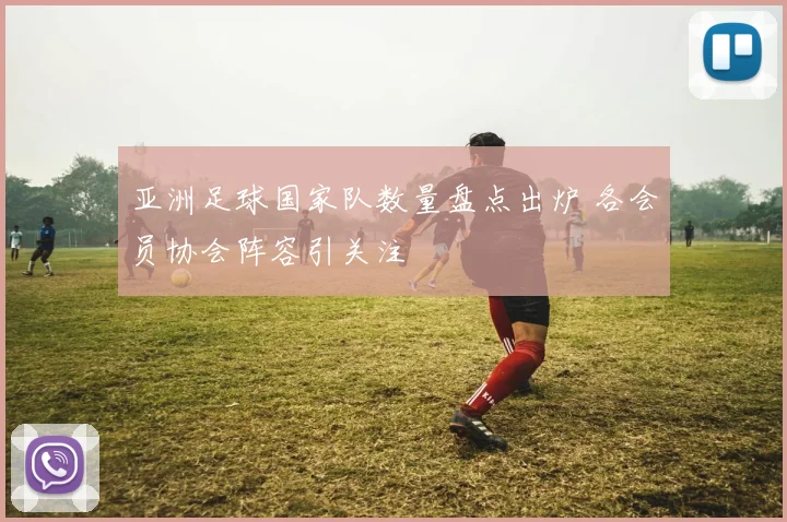 亚洲足球国家队数量盘点出炉 各会员协会阵容引关注