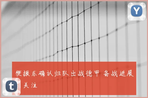 樊振东确认归队出战德甲 备战进展引关注