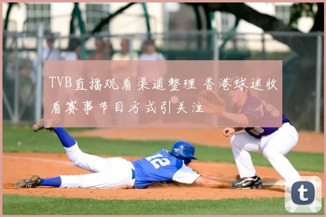 TVB直播观看渠道整理 香港球迷收看赛事节目方式引关注