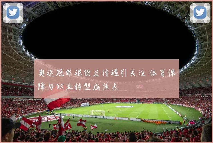 奥运冠军退役后待遇引关注 体育保障与职业转型成焦点