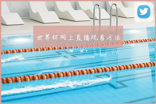 世界杯网上直播观看方法